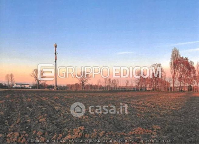 Terreno agricolo in commerciale in Via Rugoletto
