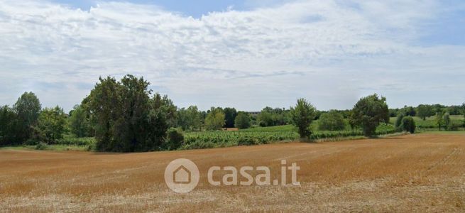 Terreno agricolo in commerciale in Via Trevisago