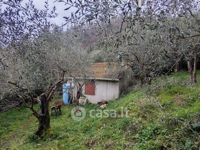 Terreno edificabile in residenziale in corsanico