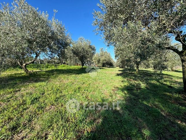 Terreno agricolo in commerciale in Via della Mentuccia
