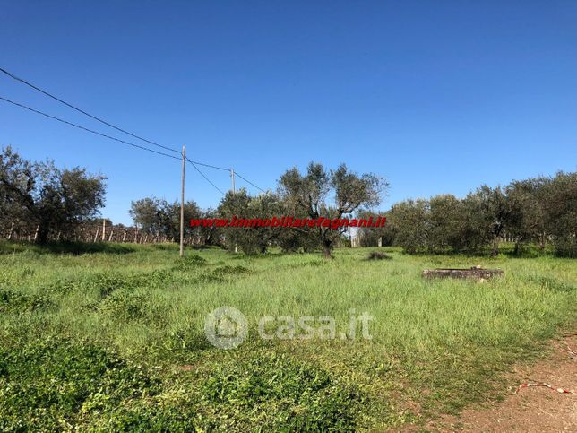 Terreno agricolo in commerciale in Via Colle Perino