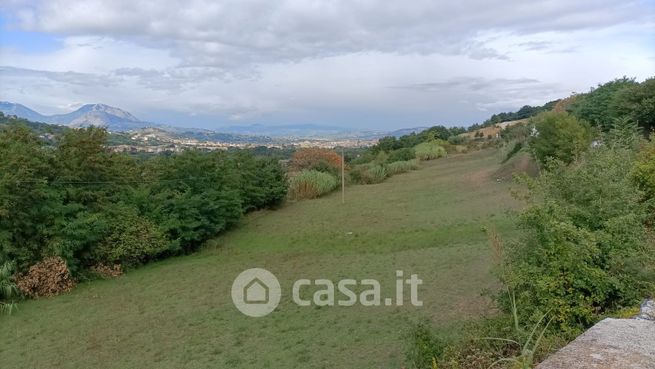 Terreno agricolo in commerciale in Contrada Borgonero