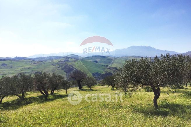 Terreno agricolo in commerciale in Strada Senza Nome