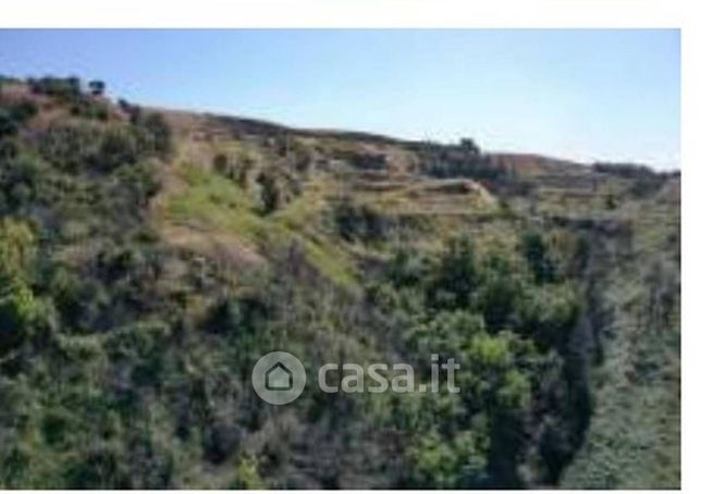 Terreno agricolo in commerciale in Contrada Mancuse 58