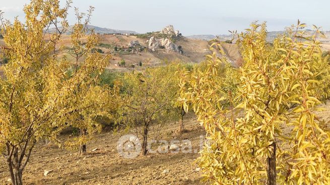 Terreno agricolo in commerciale in 