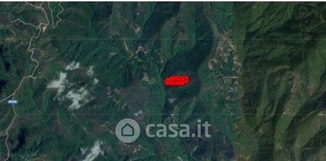 Terreno agricolo in commerciale in Prepezzano