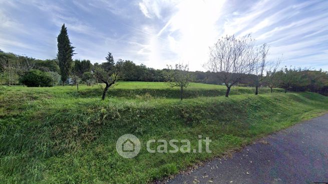 Terreno agricolo in commerciale in Località Belvedere