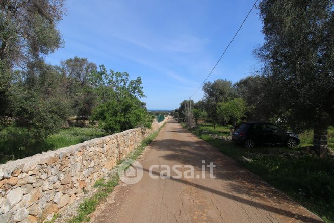 Terreno agricolo in commerciale in Contrada Aspri