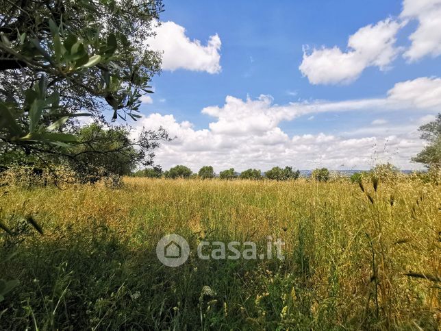 Terreno agricolo in commerciale in Strada dei Galli