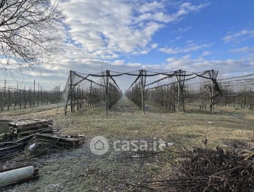 Terreno agricolo in commerciale in Via Serrasina