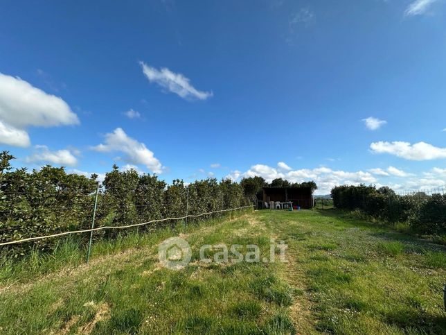 Terreno agricolo in commerciale in 