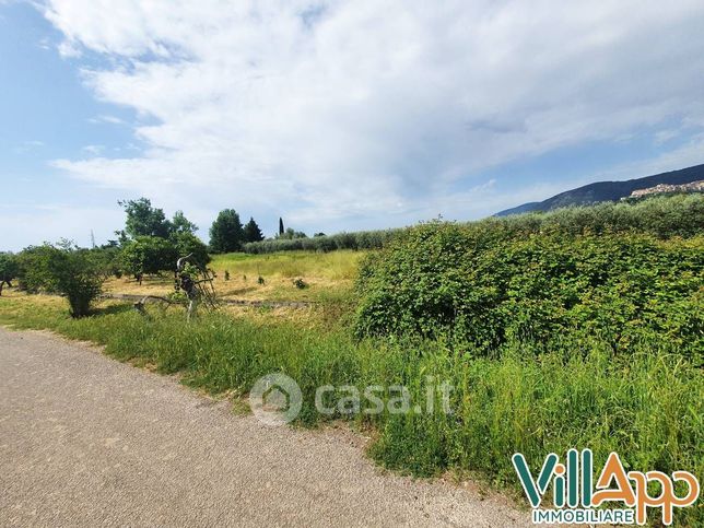 Terreno agricolo in commerciale in 