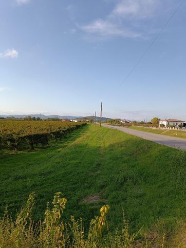 Terreno agricolo in commerciale in Via Canaletto 586