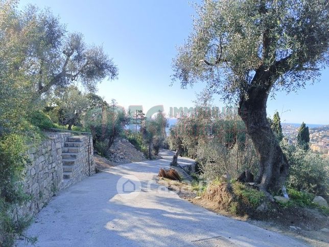 Terreno agricolo in commerciale in Via Fanny Roncati Carli