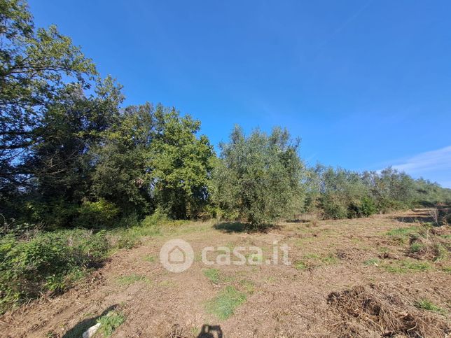 Terreno agricolo in commerciale in Montenero