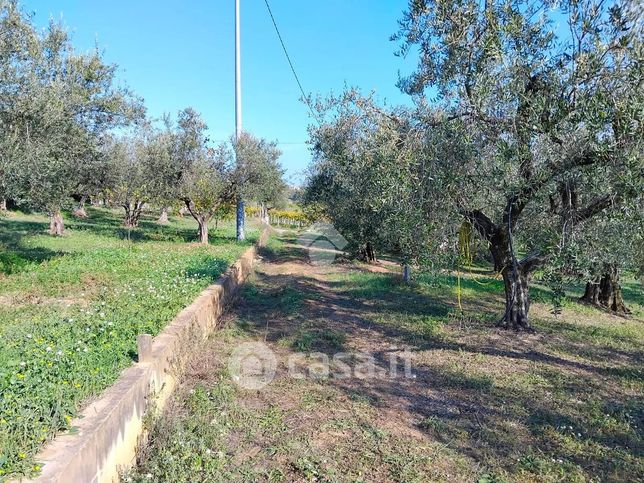 Terreno agricolo in commerciale in Contrada Sterparo dei Santi