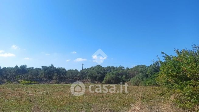 Terreno agricolo in commerciale in Strada Sant'Egidio