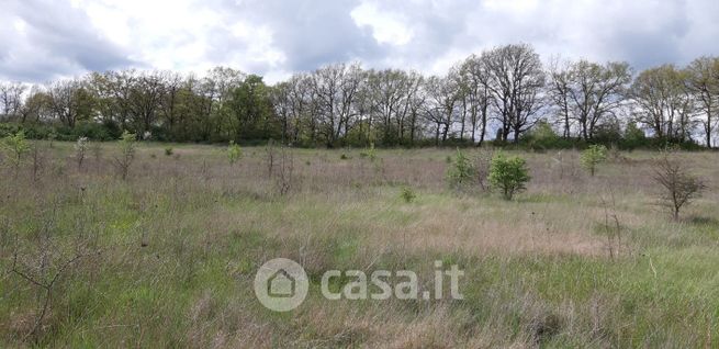 Terreno agricolo in commerciale in Via Monte del Mastro