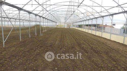 Terreno agricolo in commerciale in Via Valgrosina