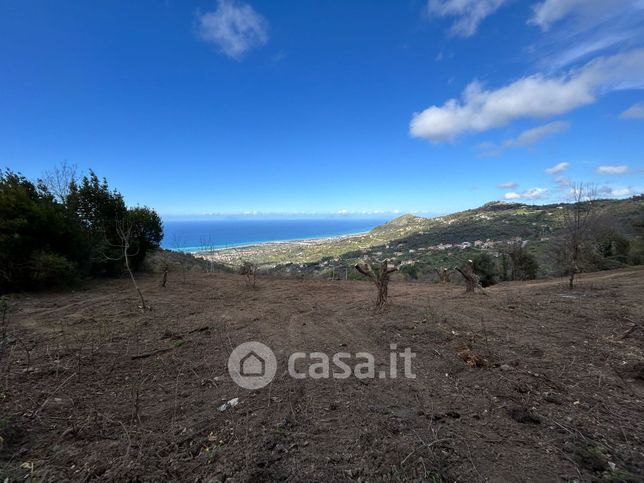 Terreno agricolo in commerciale in Contrada Leca