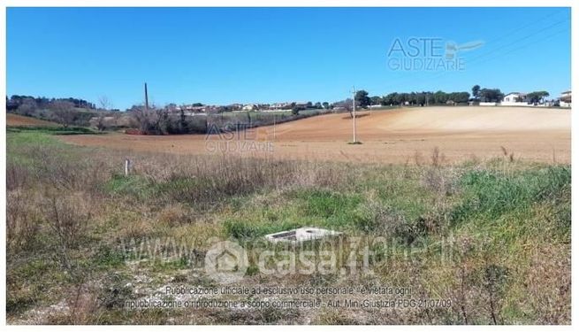 Terreno agricolo in commerciale in Via Pizzardeto