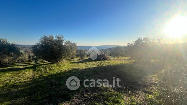 Terreno agricolo in commerciale in Via di Fonte Termini