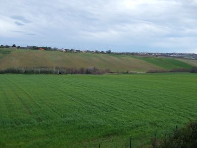 Terreno agricolo in commerciale in Strada Provinciale 112