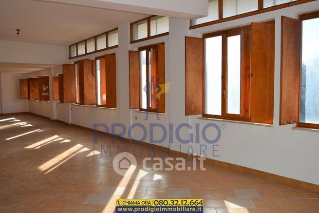 Attivitã /licenza (con o senza mura) in commerciale in