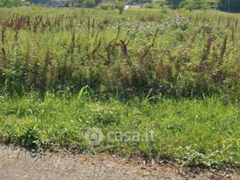 Terreno agricolo in commerciale in Corso Bonomelli Silvio
