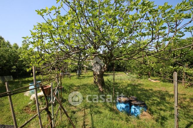 Terreno agricolo in commerciale in 