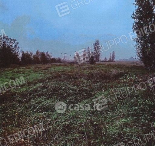 Terreno agricolo in commerciale in Via Penavara