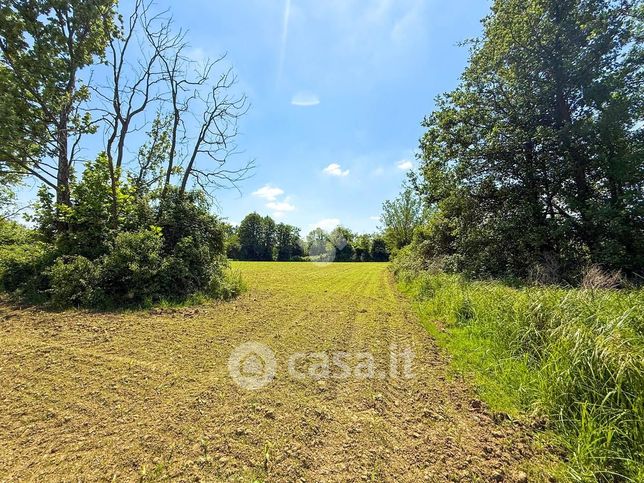 Terreno agricolo in commerciale in Via Posteghe