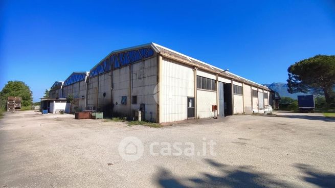 Capannone in commerciale in Via Campo Zingrillo I 16