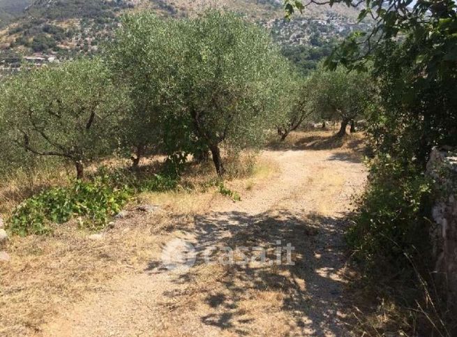 Terreno agricolo in commerciale in Strada del Cimitero