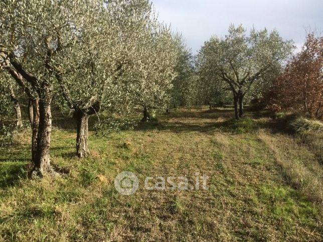 Terreno agricolo in commerciale in Via Antonio Gramsci