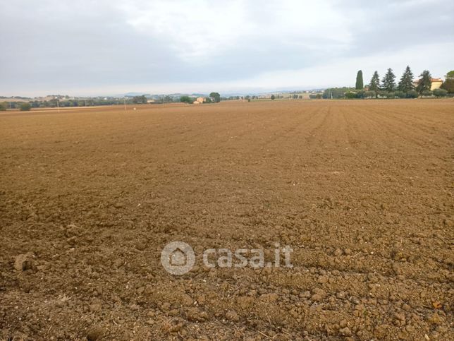 Terreno agricolo in commerciale in Contrada Mozzavinci