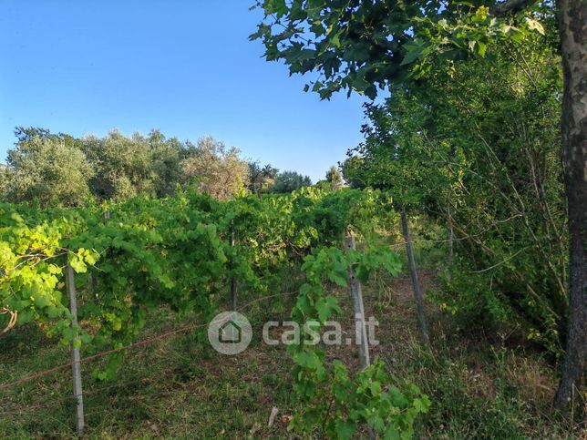Terreno agricolo in commerciale in Via dei Glicini 16