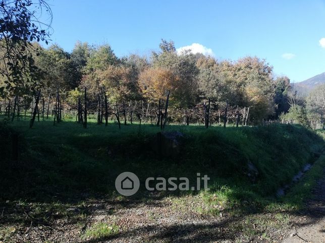 Terreno agricolo in commerciale in Via Lautoni