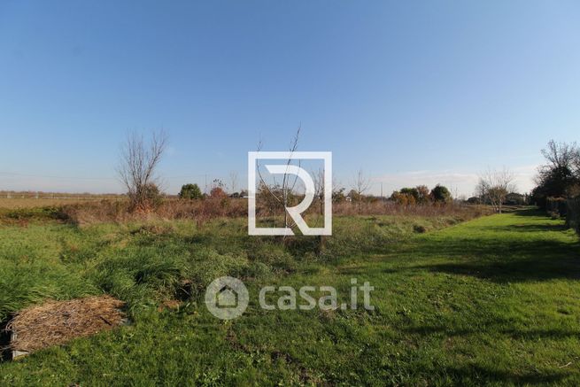Terreno agricolo in commerciale in Via Canale Guiccioli