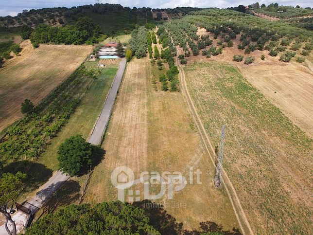 Terreno agricolo in commerciale in Strada Provinciale 23b