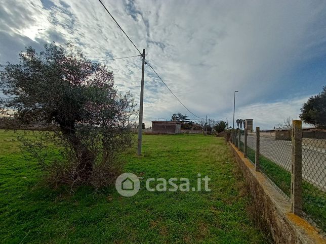 Terreno agricolo in commerciale in Via Stradone del Sandalo 35