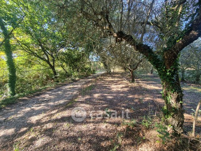 Terreno agricolo in commerciale in Via Felette