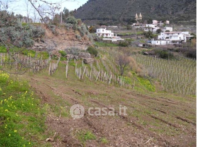 Terreno edificabile in residenziale in Strada Provinciale 182