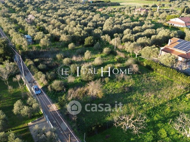 Terreno agricolo in commerciale in 