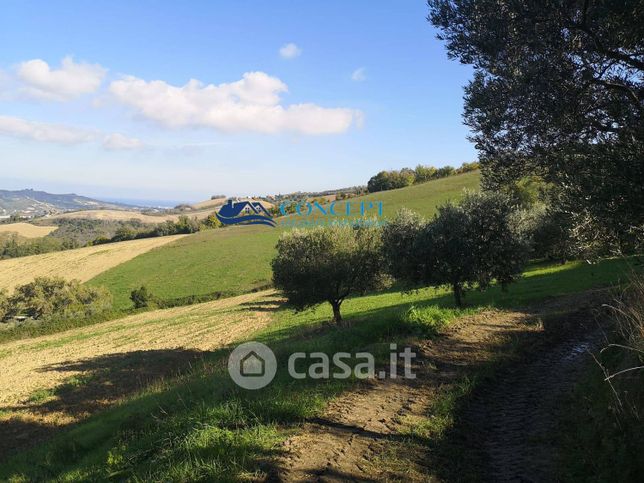 Terreno agricolo in commerciale in Via Sant'Angelo