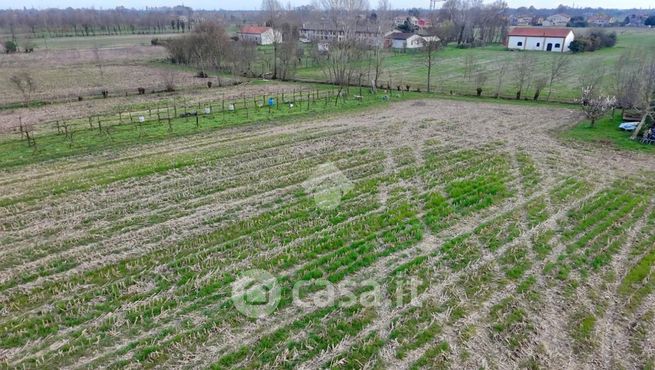 Terreno agricolo in commerciale in Via Viasana 4