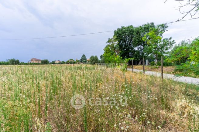 Terreno agricolo in commerciale in Via Domenico Lazzarini 7