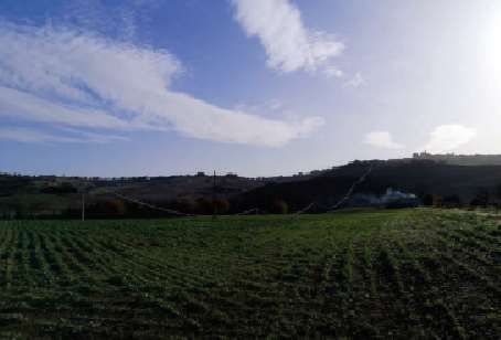 Terreno agricolo in commerciale in Contrada Guazzetti
