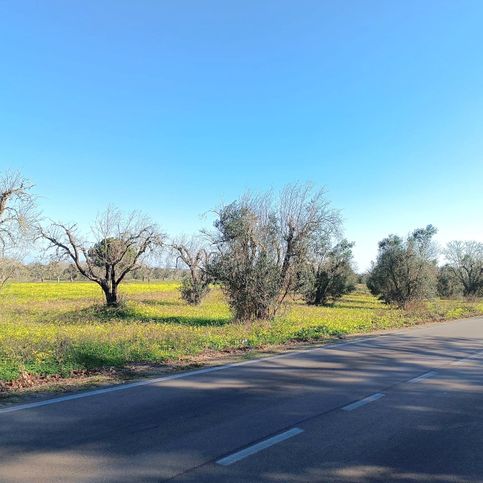 Terreno agricolo in commerciale in Strada Provinciale 172