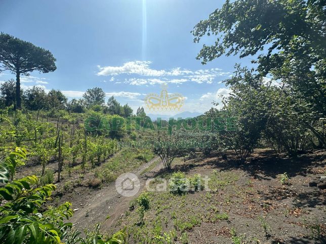 Terreno agricolo in commerciale in Via Zabatta